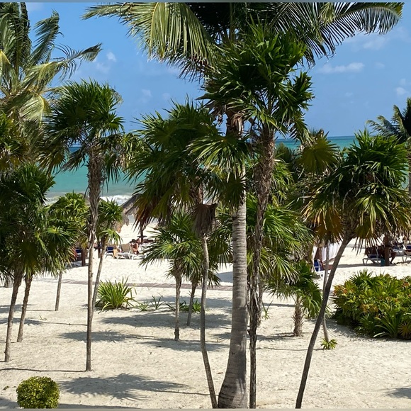 Meet your Posher, Lisa - Picture 3 of 5